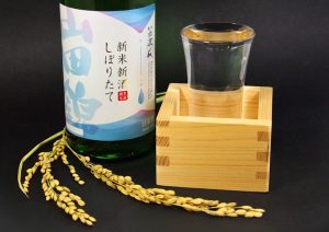 新米新酒 しぼりたて 山田錦 純米 生酒